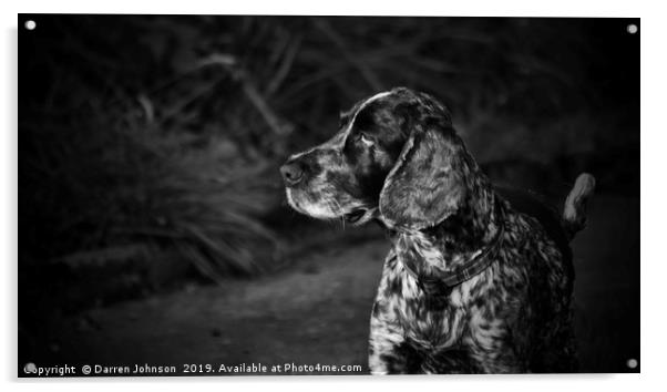 A Dog Intrigued  Acrylic by Darren Johnson