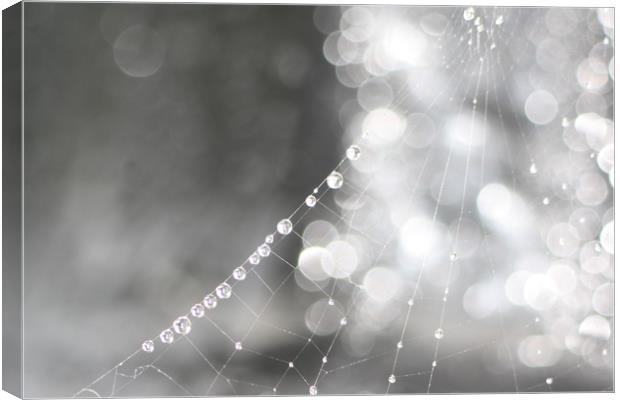  Spiders webs  Canvas Print by zoe knight