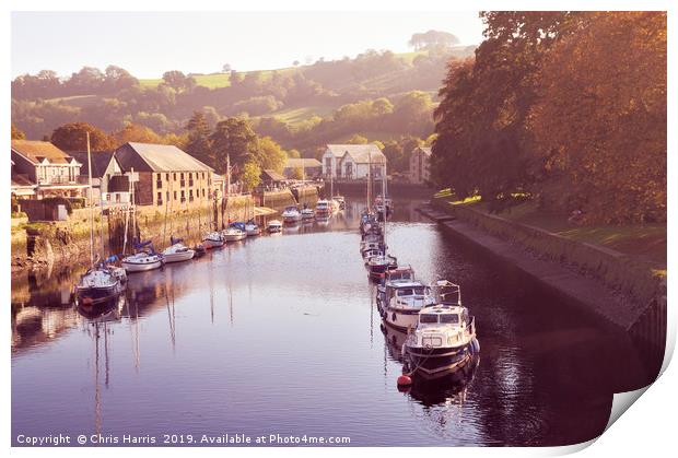 Boats on the River Dart at Totnes Print by Chris Harris