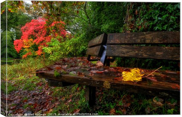 Autumn Colours at Bryngarw Country Park Canvas Print by Neil Holman