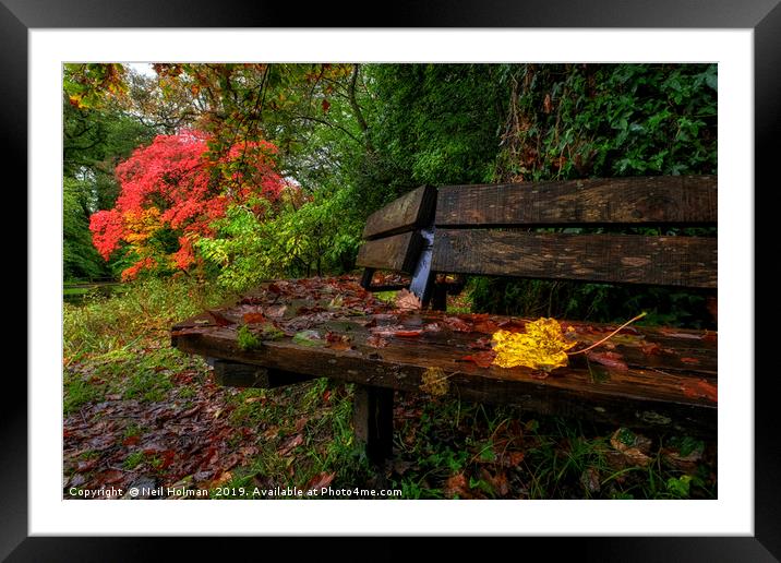 Autumn Colours at Bryngarw Country Park Framed Mounted Print by Neil Holman