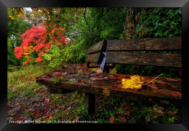 Autumn Colours at Bryngarw Country Park Framed Print by Neil Holman