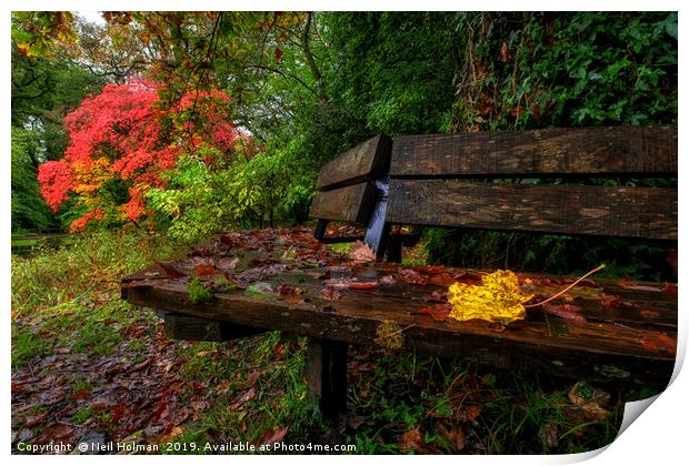 Autumn Colours at Bryngarw Country Park Print by Neil Holman