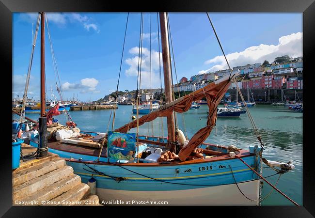 Lugger IRIS moored at Brixham Harbour in Devon Framed Print by Rosie Spooner