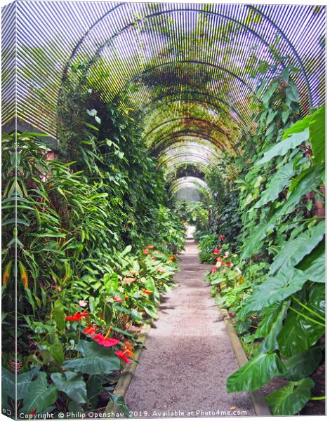 tropical arched arbour Canvas Print by Philip Openshaw