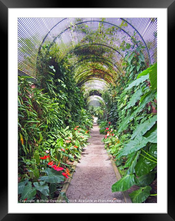 tropical arched arbour Framed Mounted Print by Philip Openshaw