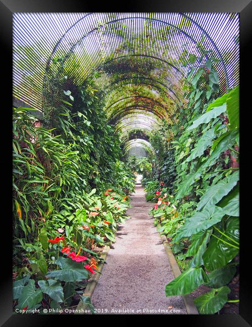 tropical arched arbour Framed Print by Philip Openshaw
