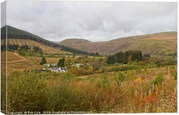 Ettrick Valley Landscapes, Scottish Borders Canvas Print by Rob Cole