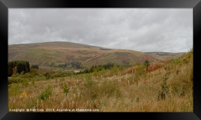 Majestic Scottish Borders Landscapes Framed Print by Rob Cole