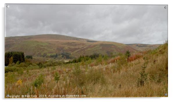 Majestic Scottish Borders Landscapes Acrylic by Rob Cole