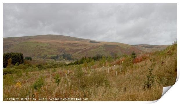 Majestic Scottish Borders Landscapes Print by Rob Cole