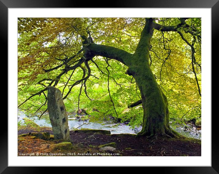 tree and stone - blake dean Framed Mounted Print by Philip Openshaw