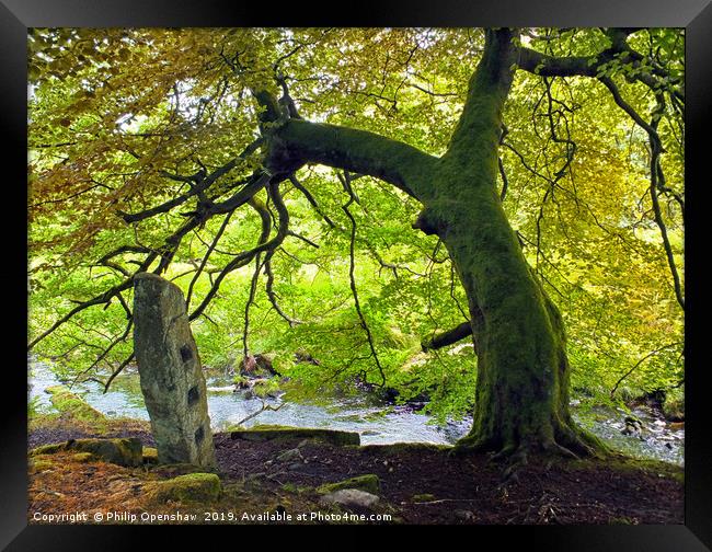 tree and stone - blake dean Framed Print by Philip Openshaw