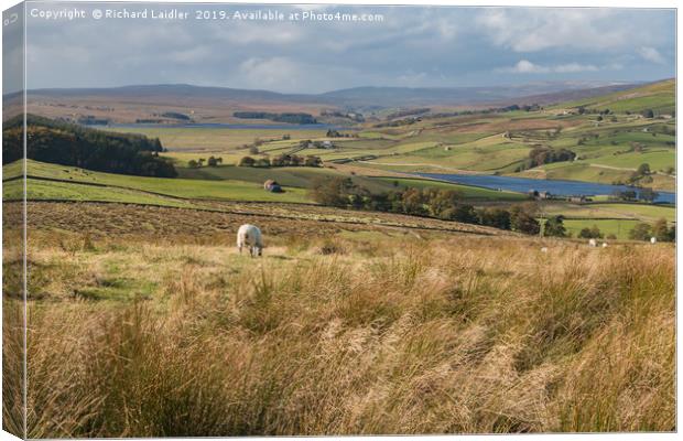 Grassholme and Selset Reservoirs, Lunedale Canvas Print by Richard Laidler