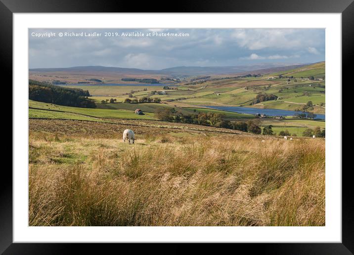 Grassholme and Selset Reservoirs, Lunedale Framed Mounted Print by Richard Laidler