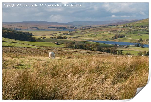 Grassholme and Selset Reservoirs, Lunedale Print by Richard Laidler