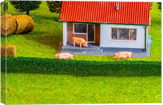 Three Little Pigs Dream Home Canvas Print by Steve Purnell