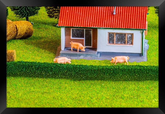 Three Little Pigs Dream Home Framed Print by Steve Purnell