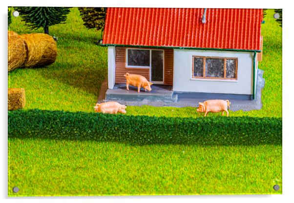 Three Little Pigs Dream Home Acrylic by Steve Purnell