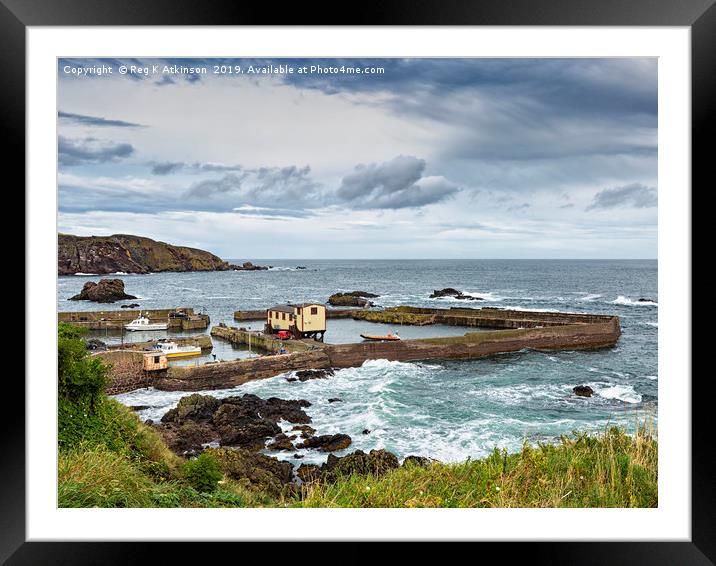 St Abbs Harbour Framed Mounted Print by Reg K Atkinson