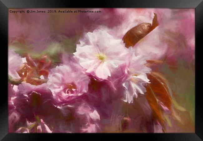 Dreaming of Springtime Framed Print by Jim Jones