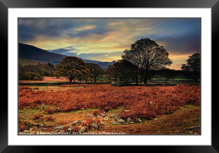 "Hazy sunrise across Wasdale " Framed Mounted Print by ROS RIDLEY