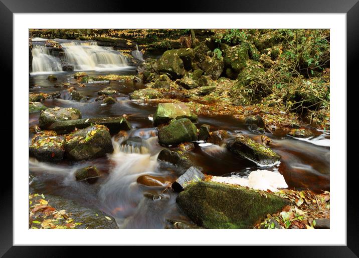 WATERFALL LEAVES Framed Mounted Print by andrew saxton