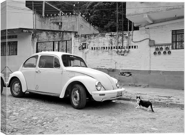 A Beetle and a cat in Mexico Canvas Print by Kate Barley