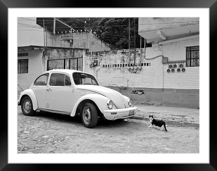 A Beetle and a cat in Mexico Framed Mounted Print by Kate Barley