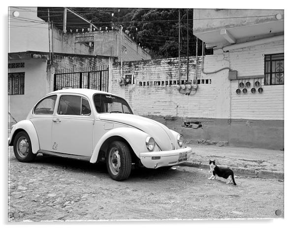 A Beetle and a cat in Mexico Acrylic by Kate Barley