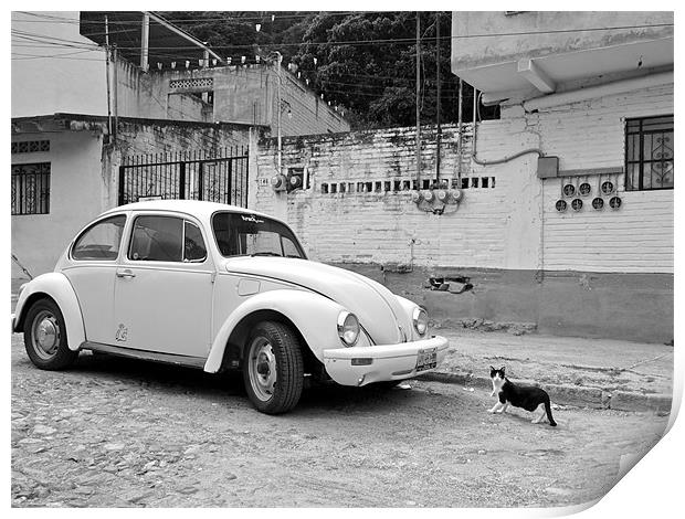 A Beetle and a cat in Mexico Print by Kate Barley