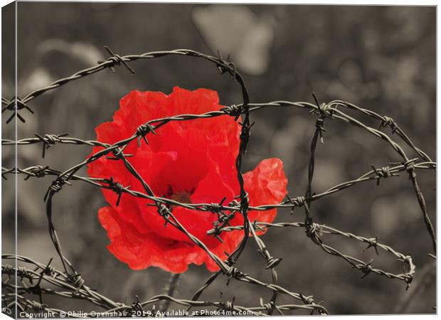remembrance  Canvas Print by Philip Openshaw