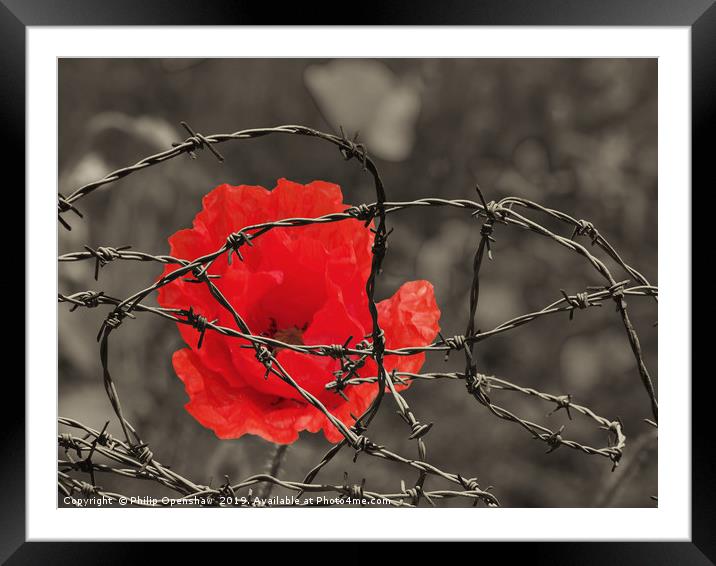 remembrance  Framed Mounted Print by Philip Openshaw