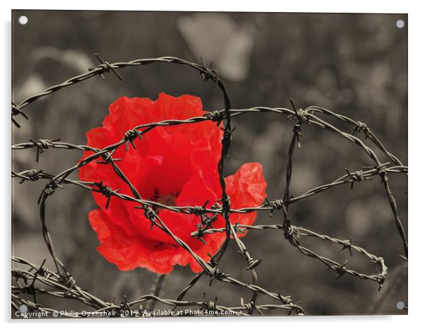 remembrance  Acrylic by Philip Openshaw