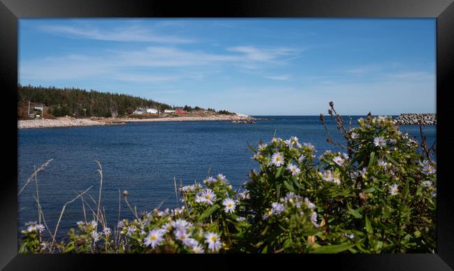 White Point Bay, Cape Breton, Canada Framed Print by Mark Llewellyn