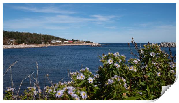 White Point Bay, Cape Breton, Canada Print by Mark Llewellyn