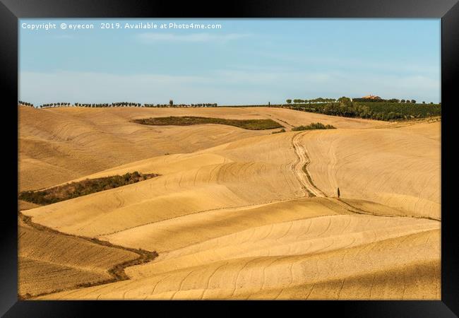 Typical landscapes for Siena Province in Tuscany,  Framed Print by eyecon 