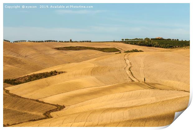 Typical landscapes for Siena Province in Tuscany,  Print by eyecon 