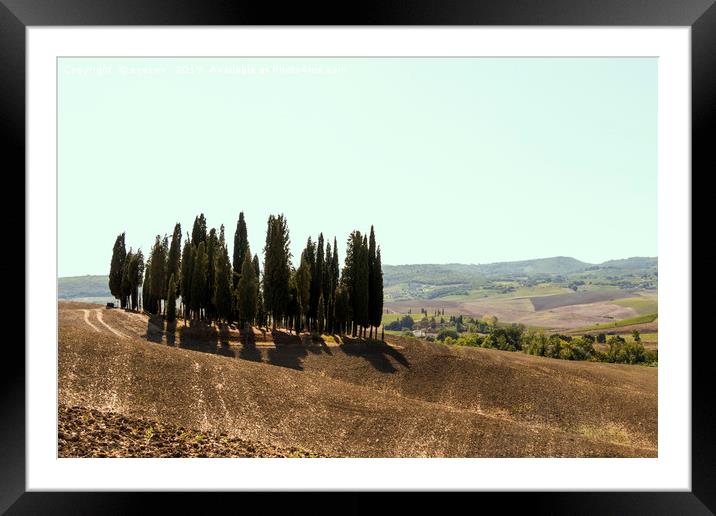Typical landscapes for Siena Province in Tuscany,  Framed Mounted Print by eyecon 