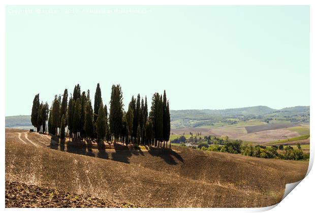 Typical landscapes for Siena Province in Tuscany,  Print by eyecon 
