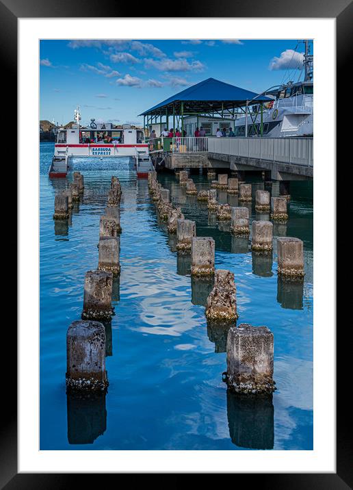Old Pilings into Barbuda Express Framed Mounted Print by Darryl Brooks