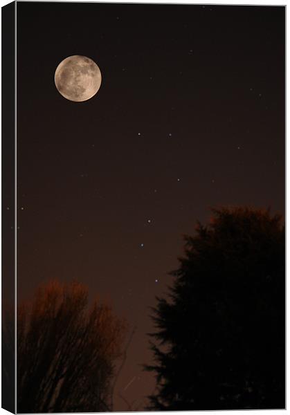The Moon and Ursa Major Canvas Print by Chris Day