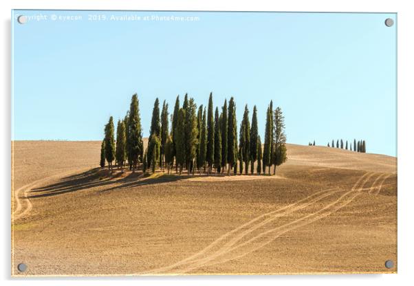 Typical landscapes for Siena Province in Tuscany,  Acrylic by eyecon 