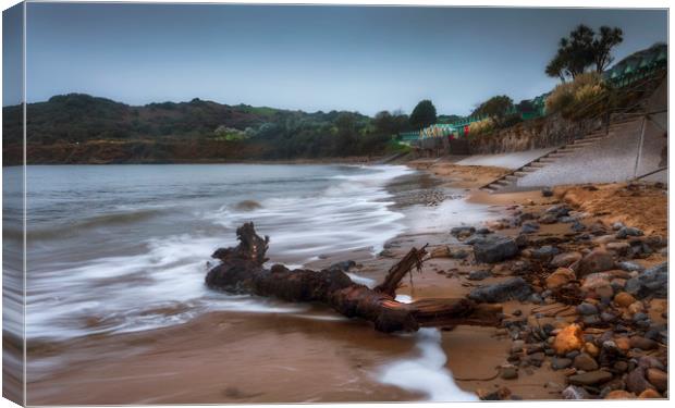 Driftwood at Langland Bay Canvas Print by Leighton Collins
