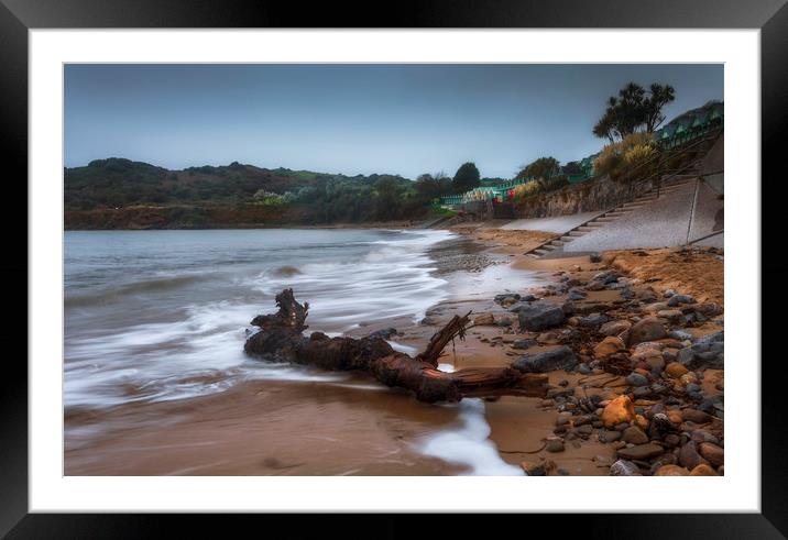 Driftwood at Langland Bay Framed Mounted Print by Leighton Collins