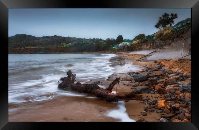 Driftwood at Langland Bay Framed Print by Leighton Collins