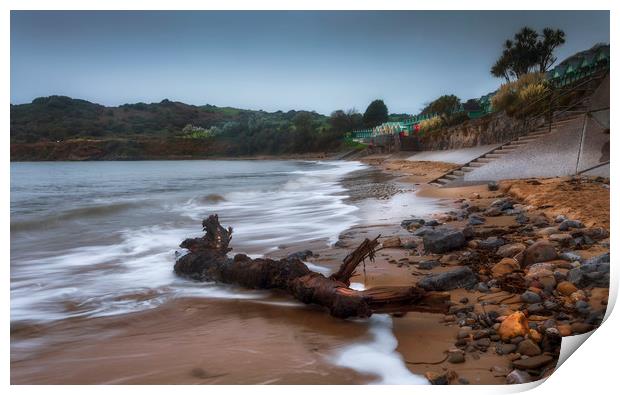 Driftwood at Langland Bay Print by Leighton Collins