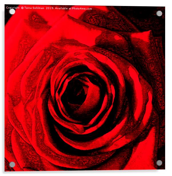 Red Rose Digital  Acrylic by Taina Sohlman