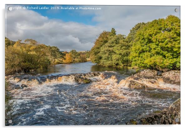 The River Tees between High Force and Low Force Acrylic by Richard Laidler