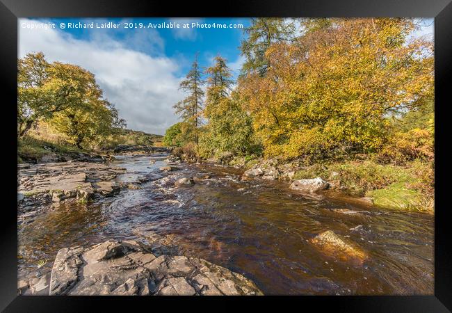 Autumn on the River Tees at Forest in Teesdale Framed Print by Richard Laidler